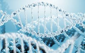 dna chain
