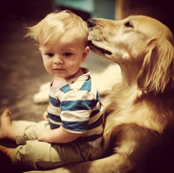 dog-kid